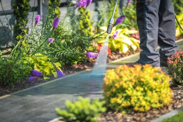 Best Soft Washing  in Chesapeake Ranch Estates, MD