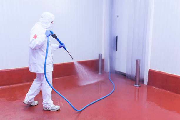 Best Playground Equipment Cleaning  in Chesapeake Ranch Estates, MD